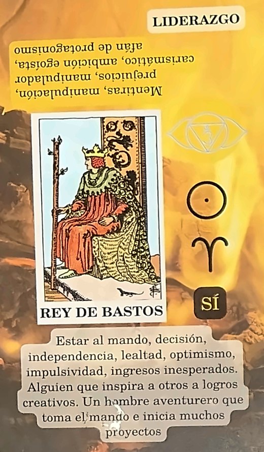 Rey de Bastos